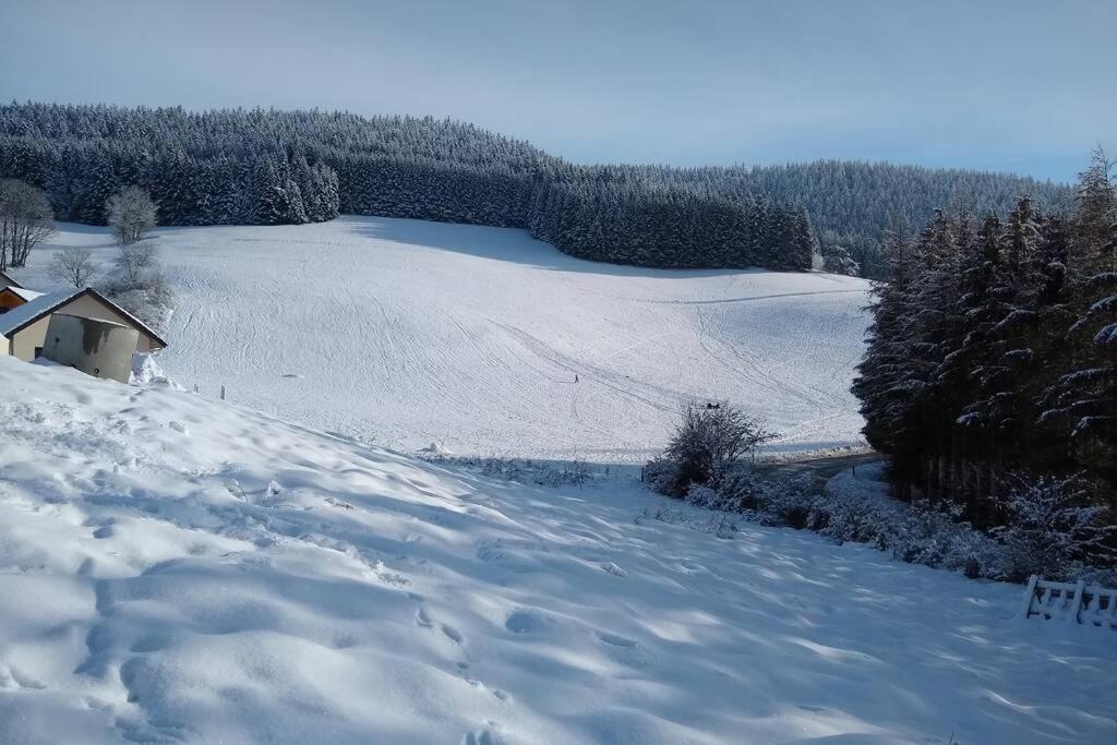 Appartement dans maison, à proximité du village Villard-de-Lans Extérieur photo